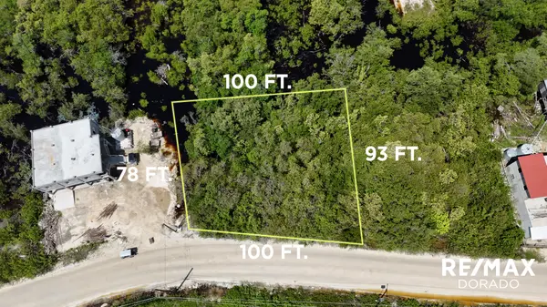 Oversized Roadfront Lot – North Ambergris Caye - 3.5 Miles from Secret Beach Junction, Ambergris Caye.,