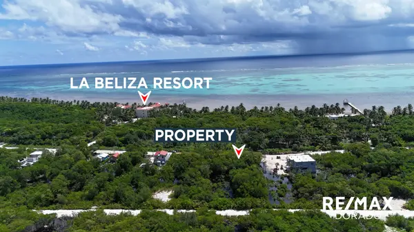 Oversized Roadfront Lot – North Ambergris Caye - 3.5 Miles from Secret Beach Junction, Ambergris Caye., 