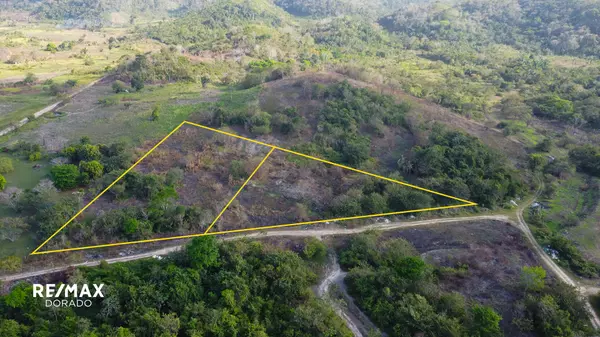 Belmopan,,Prime 2.4 Acres in Mountain View
