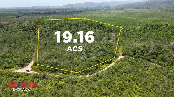 Coastal Road, Stann Creek,