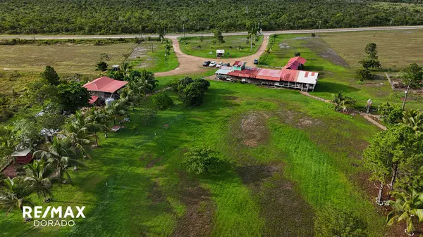 Mile 31 1/2 George Price Highway #0