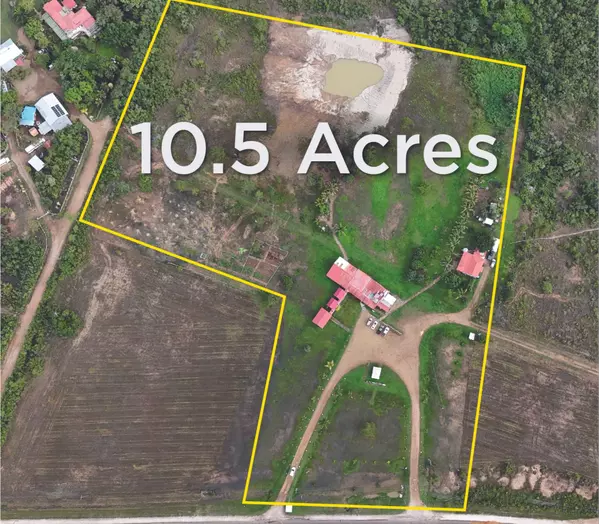 Mile 31 1/2 George Price Highway #0