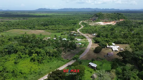 19.21 Acres with creek access, Columbia Road Punta Gorda,