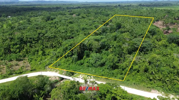 19.21 Acres with creek access, Columbia Road Punta Gorda, 