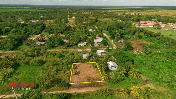 Oversized Residential Lot in Cotton Tree – Prime Location