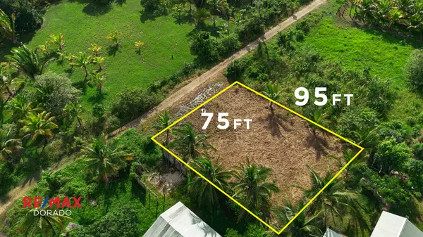 Oversized Residential Lot in Cotton Tree – Prime Location