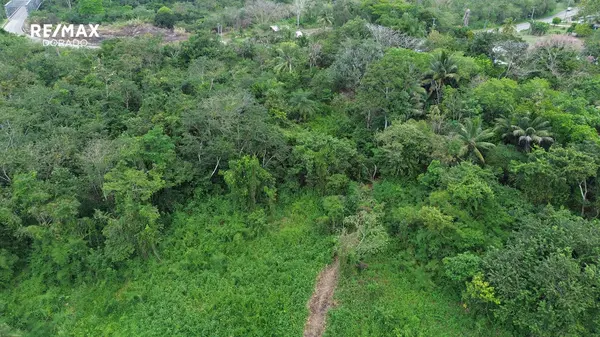 Breathtaking 2.5 acres near the Belize River