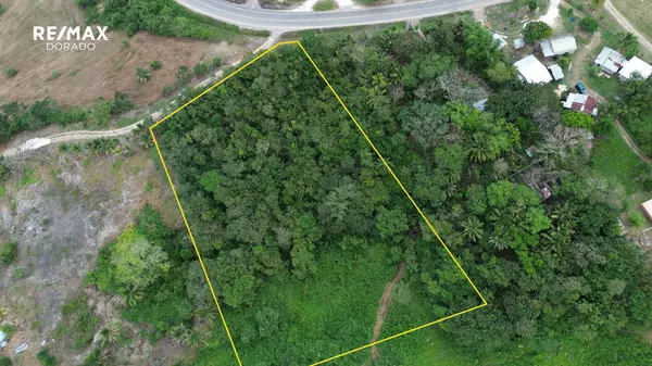 Breathtaking 2.5 acres near the Belize River, 