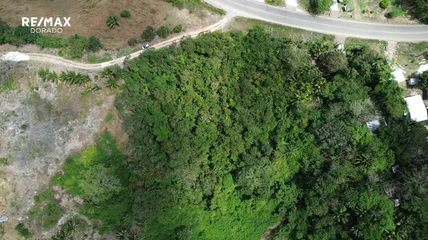 Breathtaking 2.5 acres near the Belize River