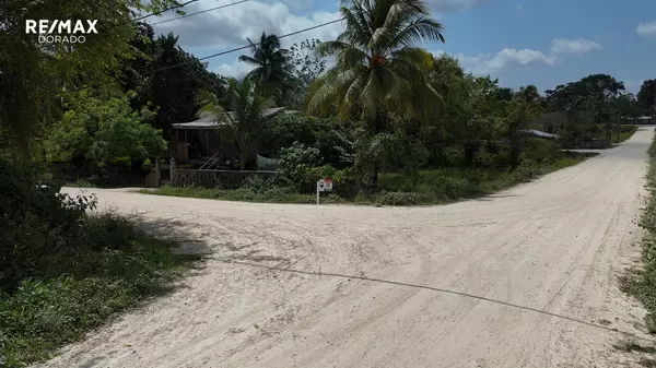 Cayo District, C.A.,2 oversized residential lots near Spanish lookout; Black Man Eddy Village