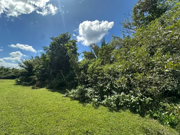 Prime 1.53-Acre Investment Opportunity – Minutes from Belmopan, 