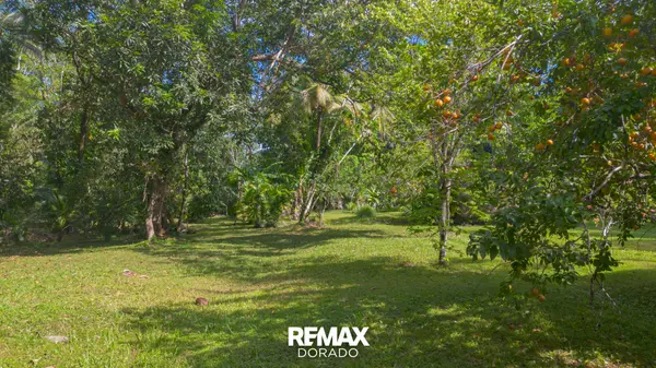 30 Acres of Tropical Farmland – Big Falls Village, Toledo District,