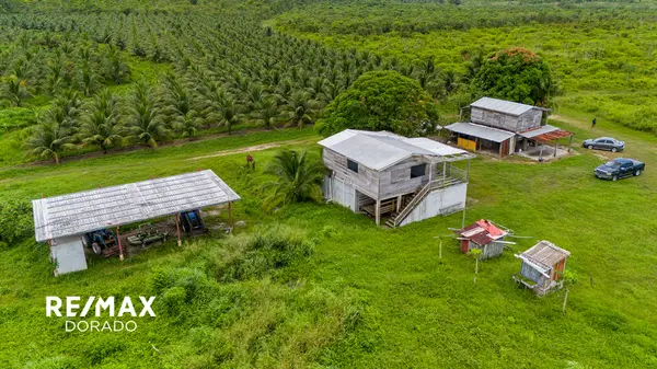 339 Acres of Prime Farmland on the Southern Highway