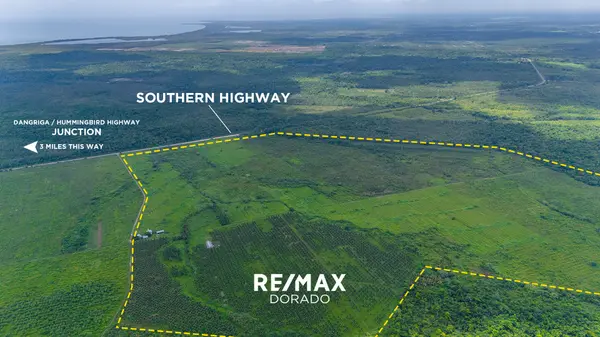 339 Acres of Prime Farmland on the Southern Highway