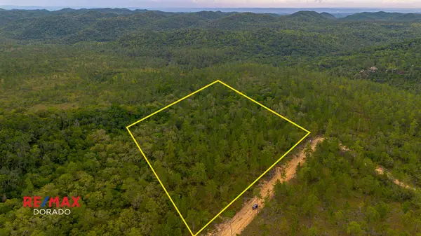 10.22 Acres of Mountain Pine Paradise – Mountain Pine Ridge, Belize,