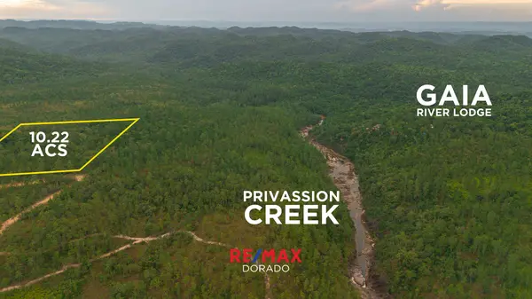 10.22 Acres of Mountain Pine Paradise – Mountain Pine Ridge, Belize,