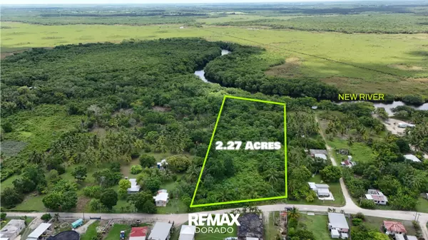 Corozal District,,Caledonia Village