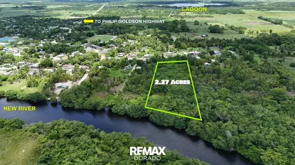 Corozal District,,Caledonia Village