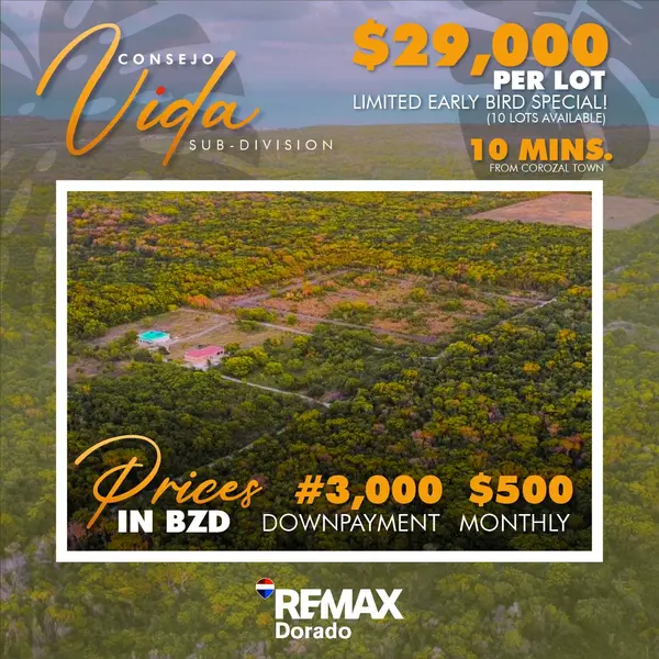 Consejo Vida Subdivsion 4 Miles Consejo Rd. Corozal Town, 