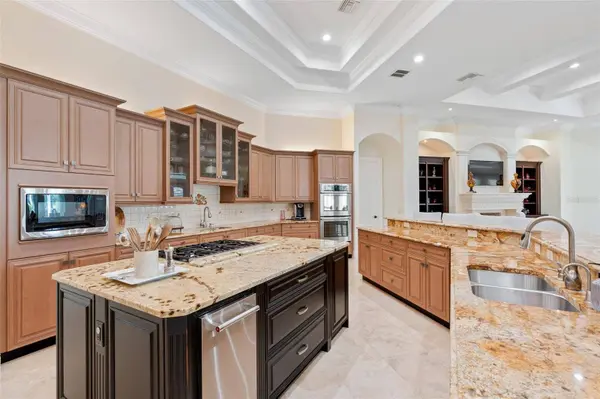 9905 LANAI VIEW CT, Windermere, FL 34786