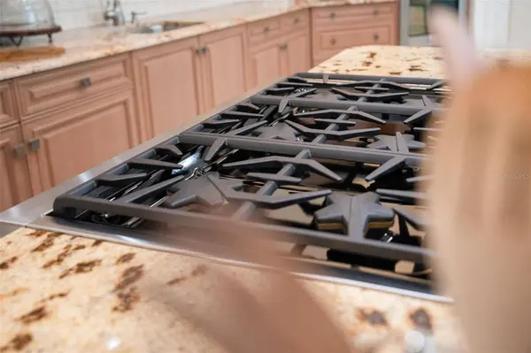 9905 LANAI VIEW CT, Windermere, FL 34786