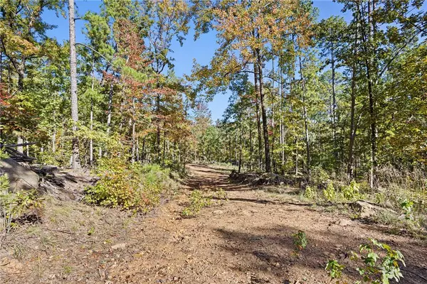 AR 155, Dardanelle, AR 72834