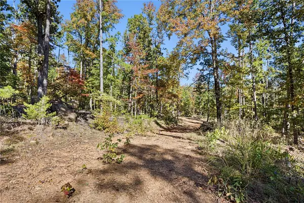 AR 155, Dardanelle, AR 72834