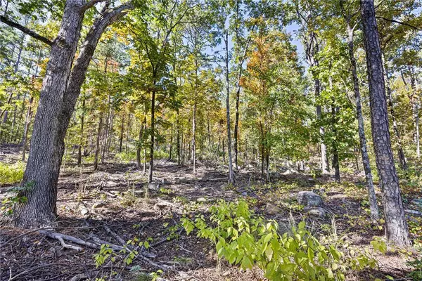 AR 155, Dardanelle, AR 72834