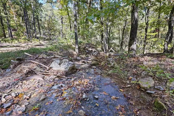 AR 155, Dardanelle, AR 72834