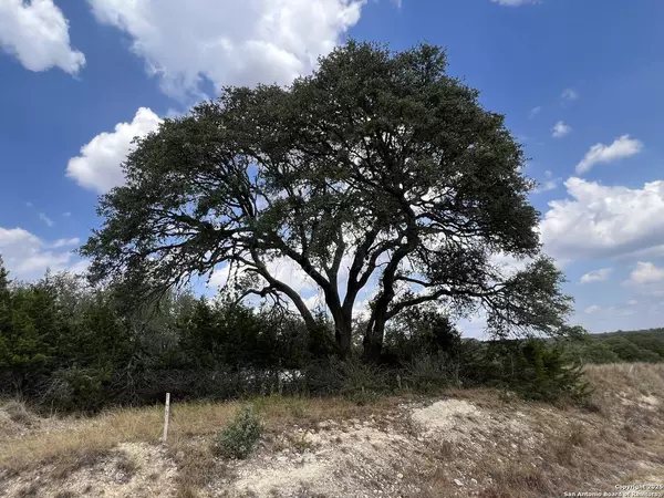 113 Daniel Jackson, Blanco, TX 78606