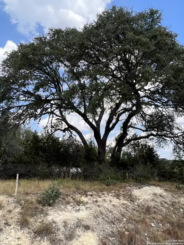 113 Daniel Jackson, Blanco, TX 78606