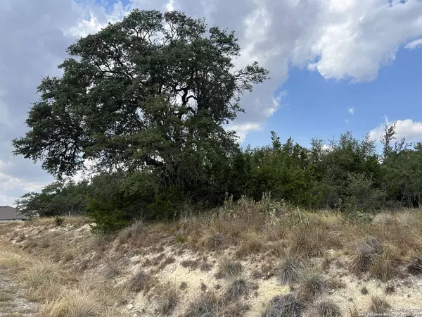 113 Daniel Jackson, Blanco, TX 78606