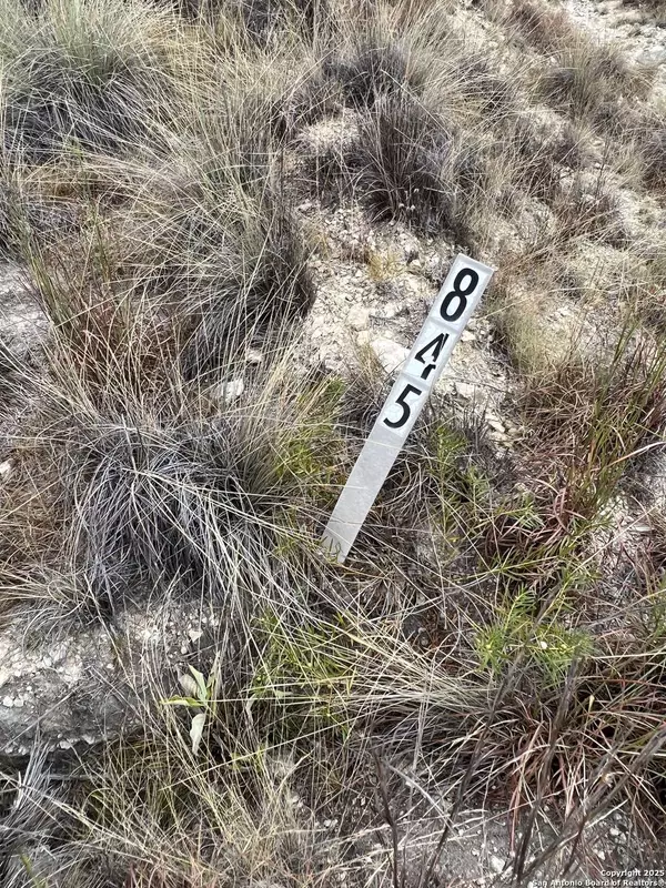 113 Daniel Jackson, Blanco, TX 78606