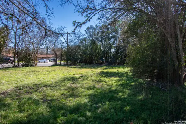 314 PLANT AVE, Boerne, TX 78006