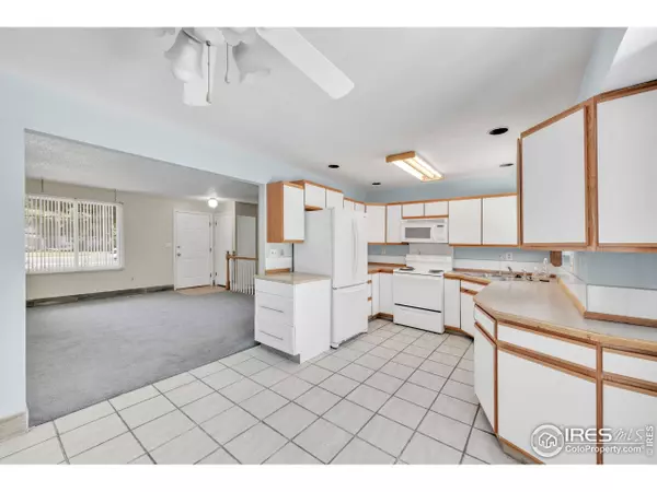 11450 Hudson St, Thornton, CO 80233