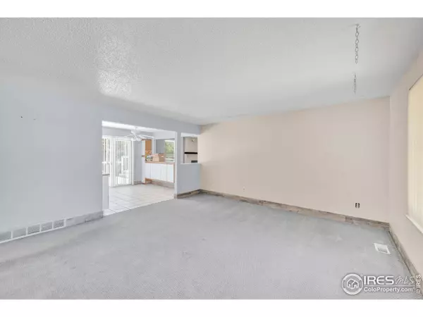 11450 Hudson St, Thornton, CO 80233