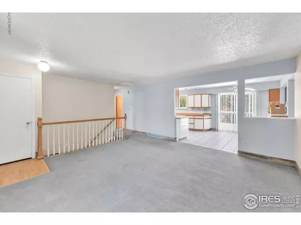 11450 Hudson St, Thornton, CO 80233