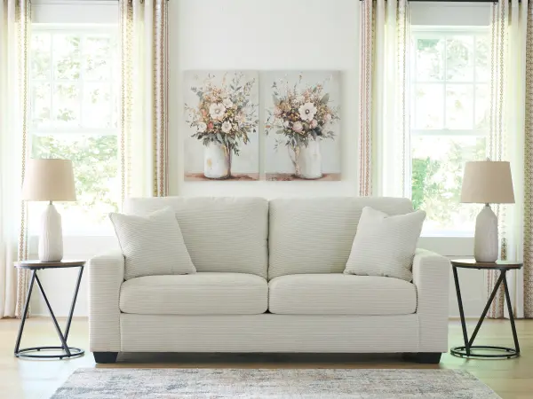 sofa pic