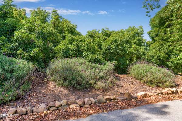0 Hall Road, Santa Paula, CA 93060