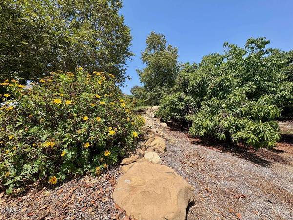 0 Hall Road, Santa Paula, CA 93060