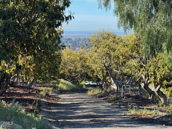 4305 Groves Place, Somis, CA 93066