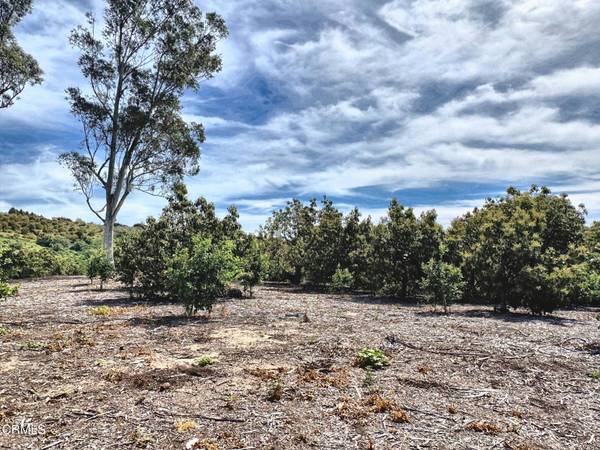 0 Grimes Canyon Road, Moorpark, CA 93021