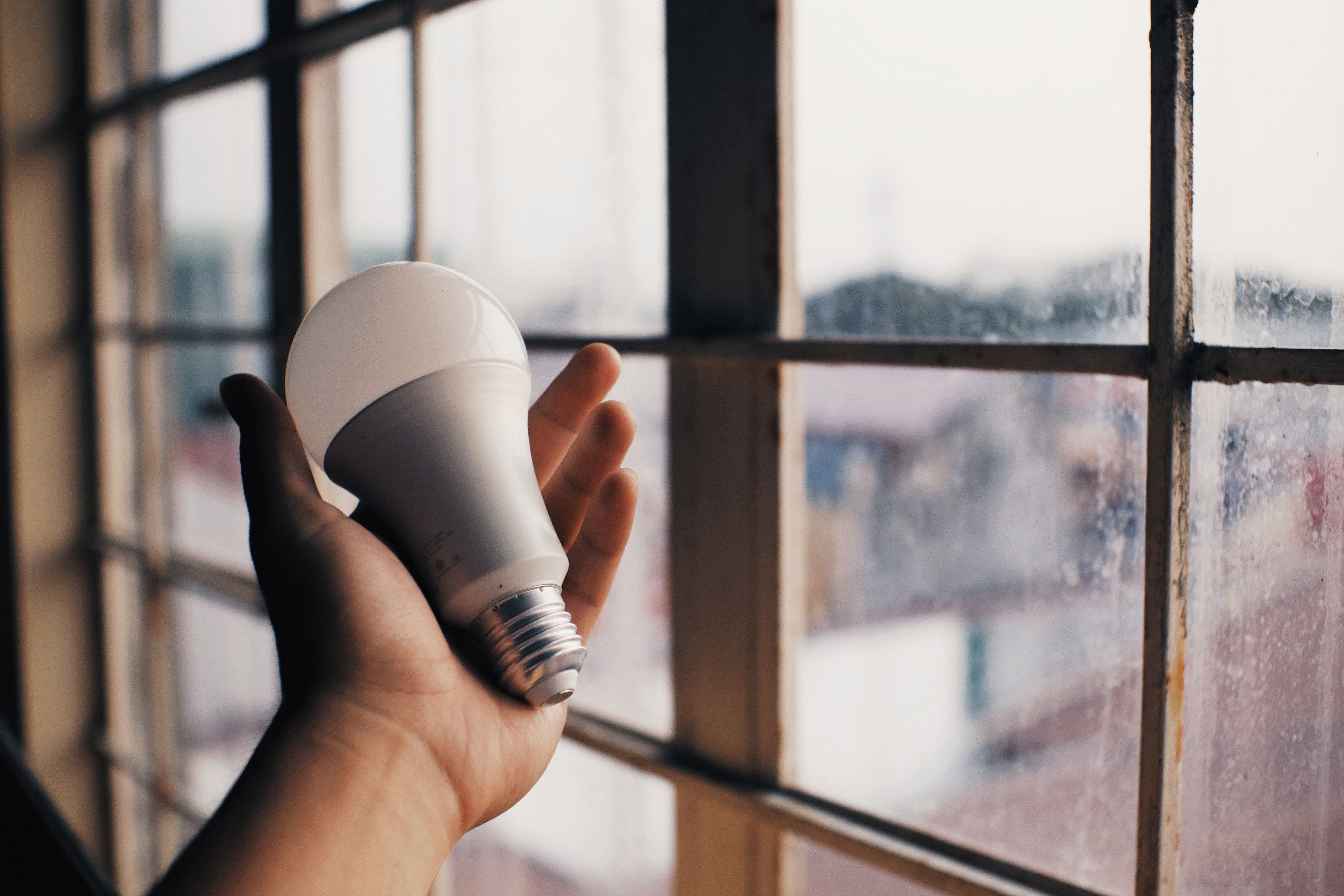 Going Green: How To Make Your Home More Energy Efficient