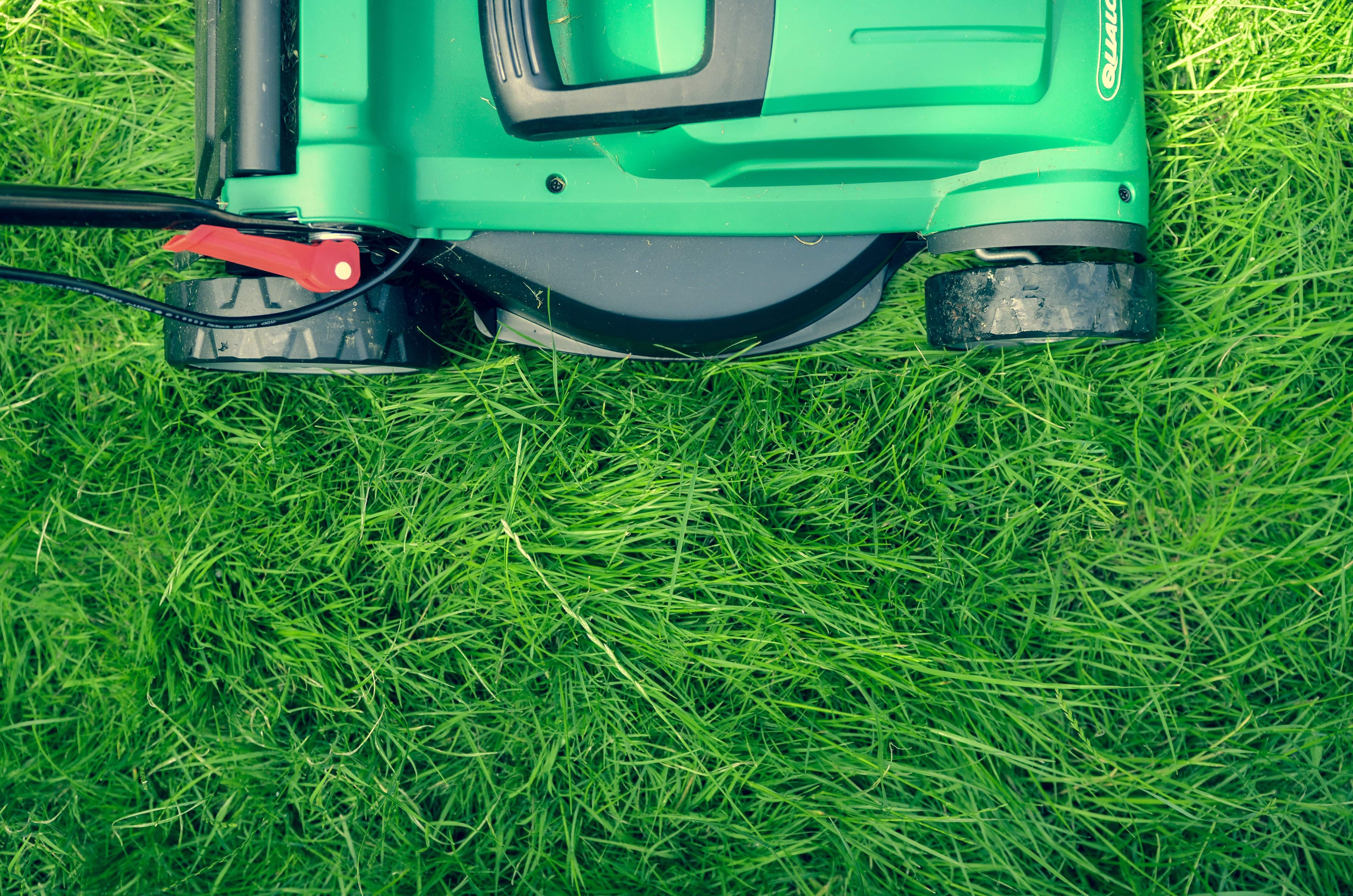 Make Summer Landscaping Easier With These 6 Tips
