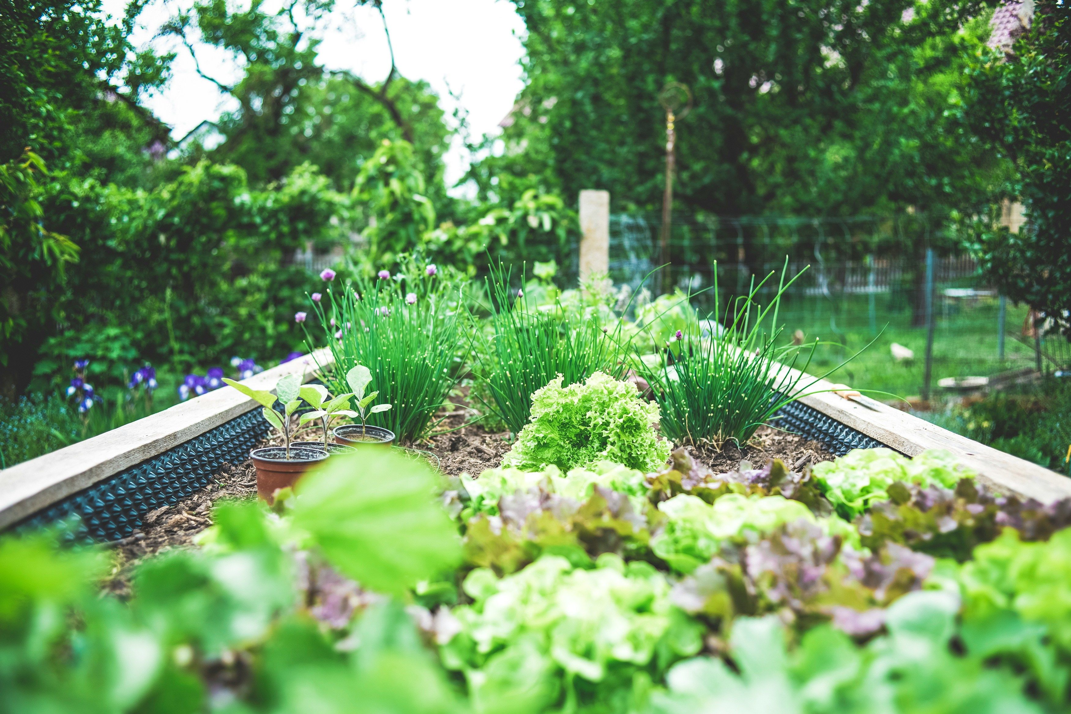 DIY Garden Projects to Enhance Your Spring Landscaping