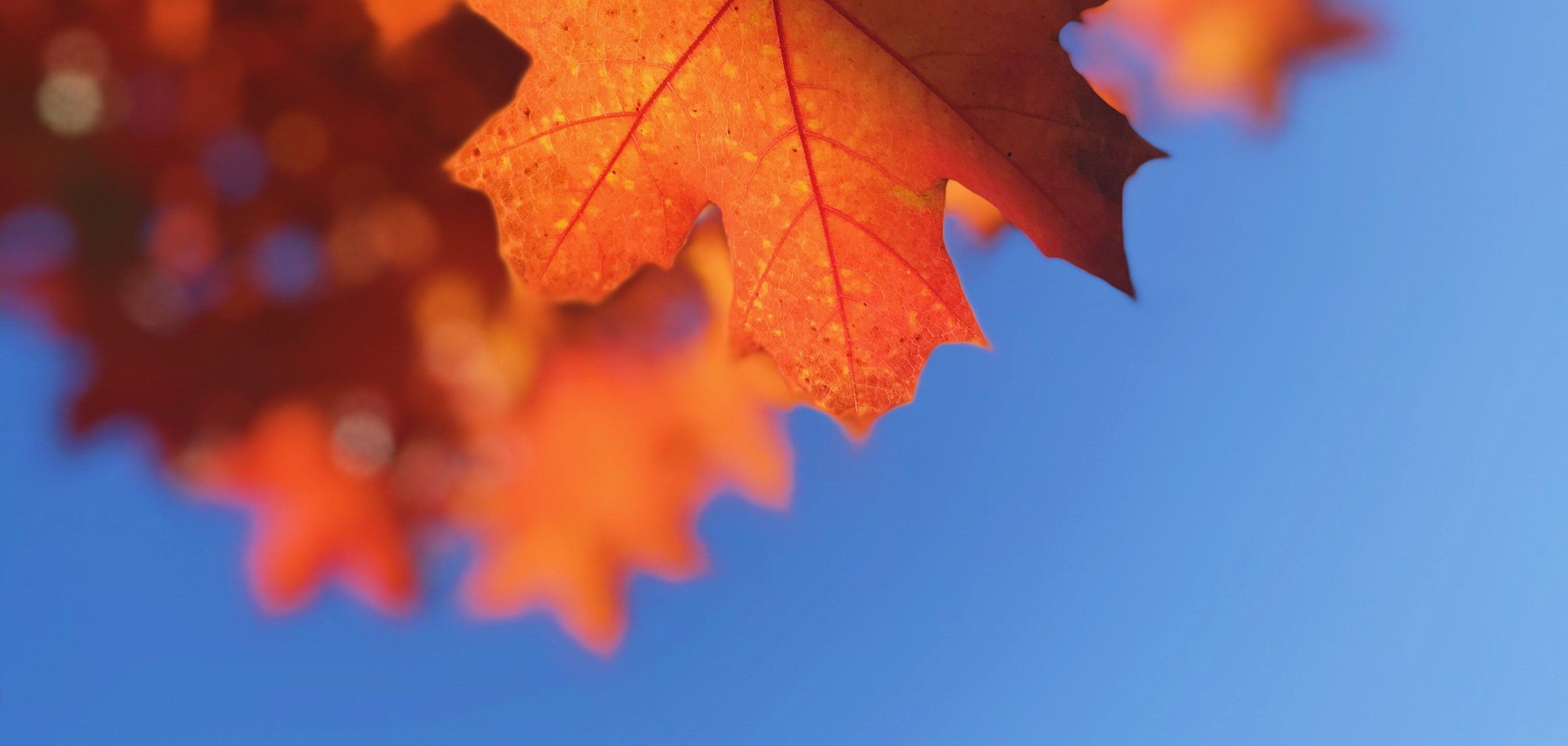 10 Ways to Make Your Fall Open House Extra-Cozy