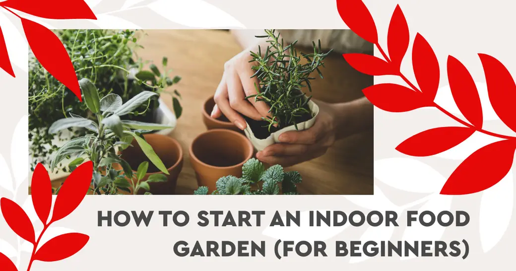 How to Start an Indoor Food Garden (for Beginners)