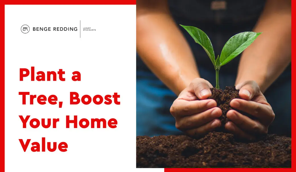 Plant a Tree, Boost Your Home Value