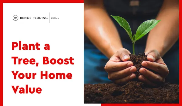 Plant a Tree, Boost Your Home Value,Samantha Kasprzyk-Benge