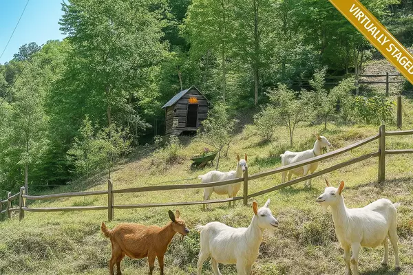 Enhance your stay with the charm of a farm experience. Guests can enjoy interacting with friendly animals such as chickens, goats, emus, or rabbits. The property’s original corn crib and hen house provide the perfect backdrop, making this a memorable highlight for families and nature lovers alike. Virtually Staged